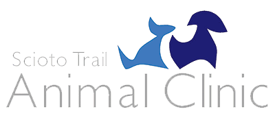 Scioto Trail Animal Clinic